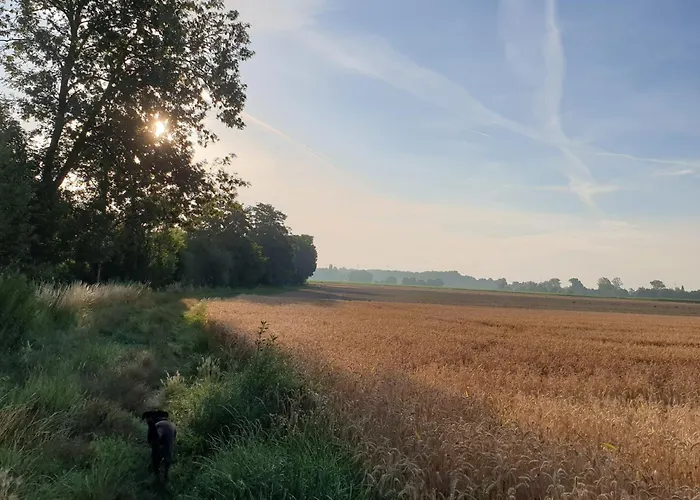Hotel Ferienwohnung Am Storchennest Neustadt an der Weinstraße